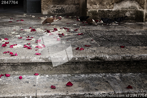 Image of rose petals and rice grains on a staircase