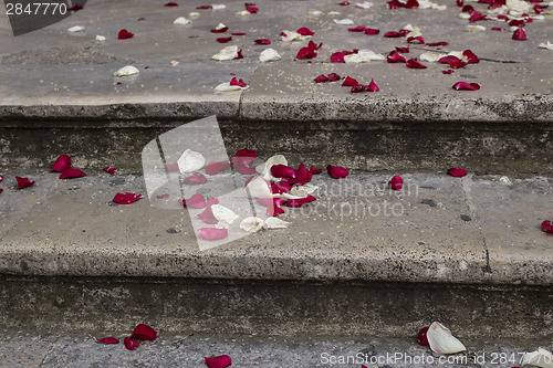 Image of rose petals and rice grains on a staircase