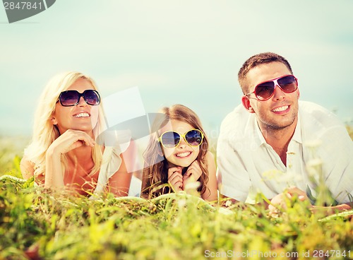 Image of happy family with blue sky and green grass