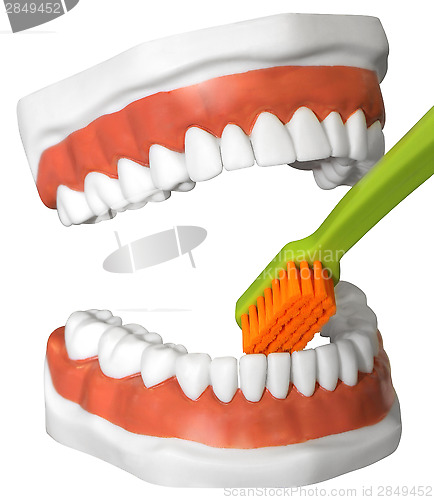 Image of Teeth and toothbrush