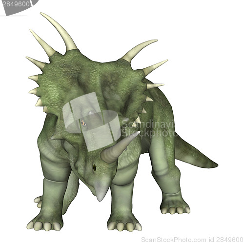 Image of Dinosaur Styracosaurus