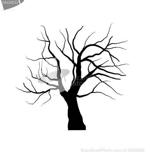 Image of Sketch of dead tree without leaves , isolated on white backgroun