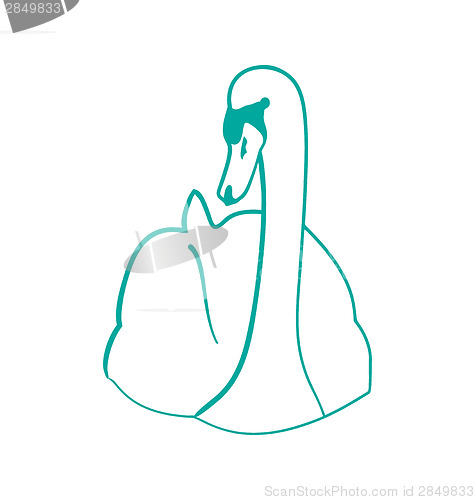 Image of Sketch of hand drawn swan , outline contour style, isolated on w