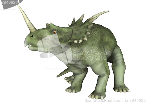 Image of Dinosaur Styracosaurus