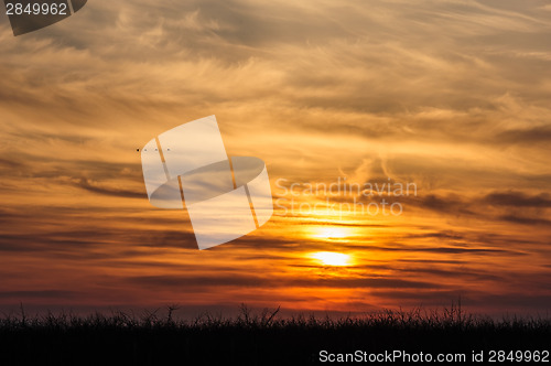 Image of flying birds on dramatic sunset background