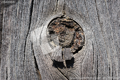 Image of cracked aged wooden board with knot