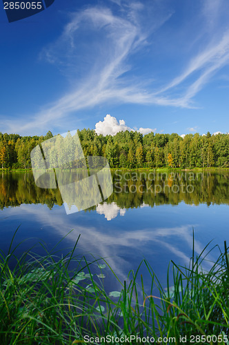 Image of Northern river and woods