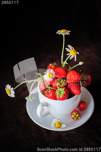 Image of chamomiles and strawberries in the cup