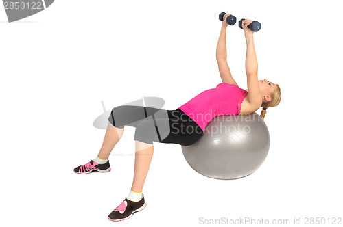 Image of Dumbbell Chest Fly on Stability Fitness Ball Exercise