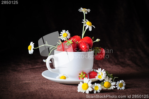 Image of chamomiles and strawberries in the cup