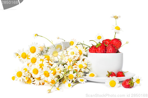 Image of chamomiles and strawberries in the cup