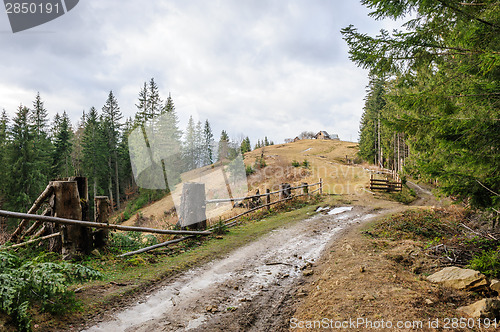 Image of Dirty road and single house near the forest