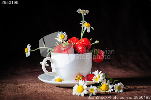 Image of chamomiles and strawberries in the cup