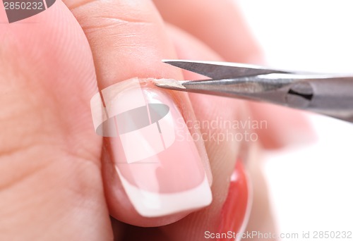 Image of manicure applying - cutting the cuticle 