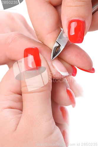 Image of manicure applying - cutting the cuticle 