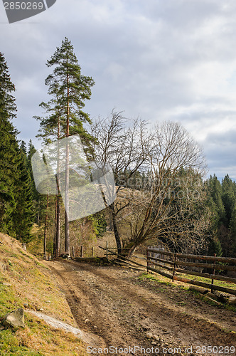 Image of Dirty road in Carpathian village 