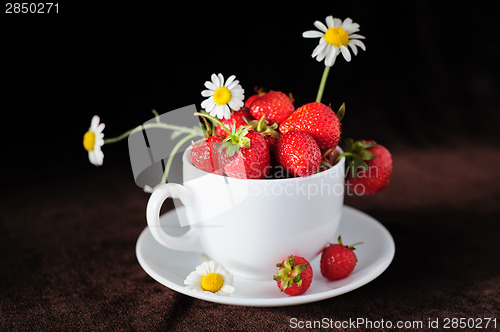 Image of chamomiles and strawberries in the cup