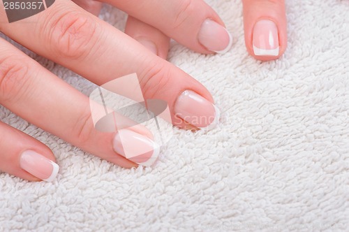 Image of Fingers with french manicure