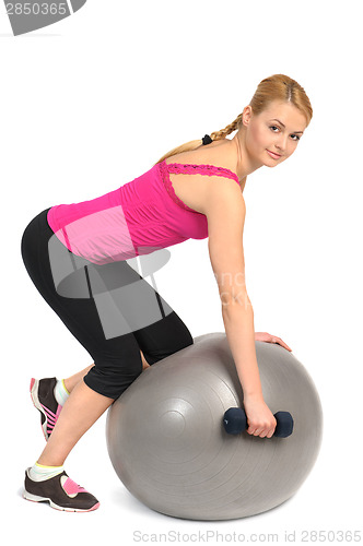 Image of One-Arm Dumbbell Row on Stability Fitness Ball Exercise