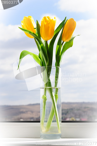 Image of yellow tulips in vase on window sill