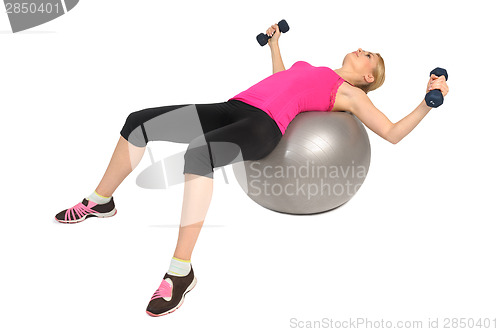 Image of Dumbbell Chest Fly on Stability Fitness Ball Exercise