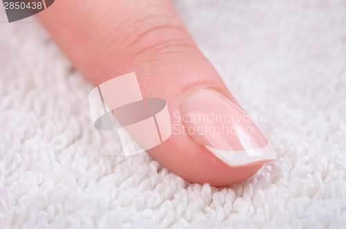 Image of Fingers with french manicure