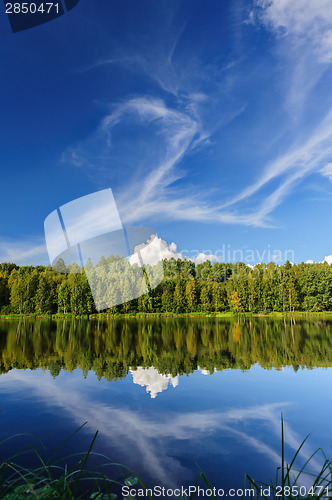 Image of Northern river and woods