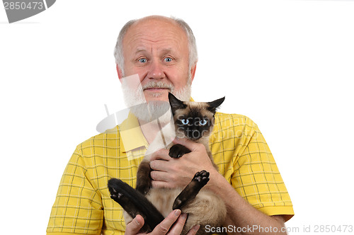 Image of senior balding man with siamese cat