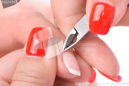 Image of manicure applying - cutting the cuticle 