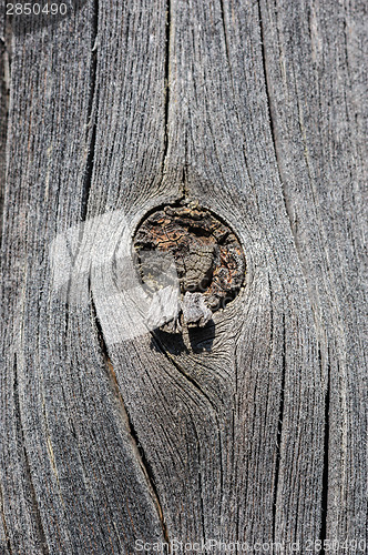 Image of cracked aged wooden board with knot