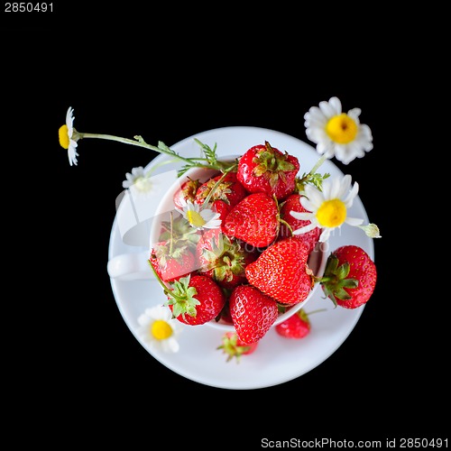 Image of chamomiles and strawberries in the cup