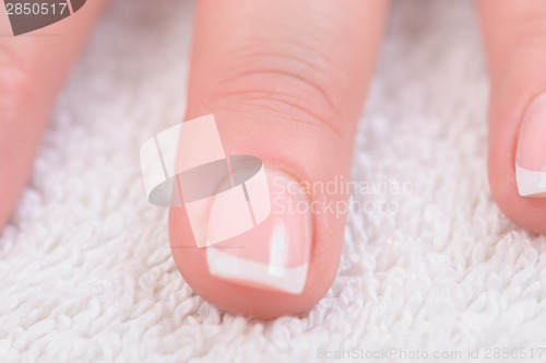 Image of Fingers with french manicure