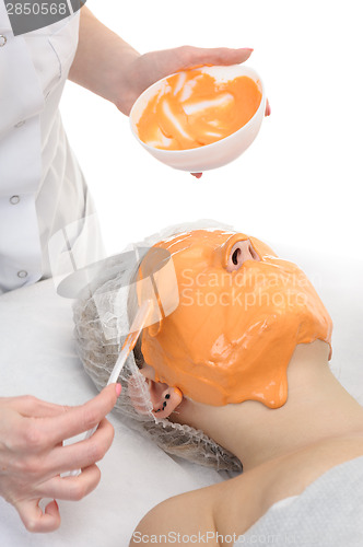 Image of Beauty salon, Alginate Powder facial Mask