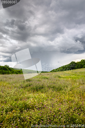 Image of Rain on the meadow