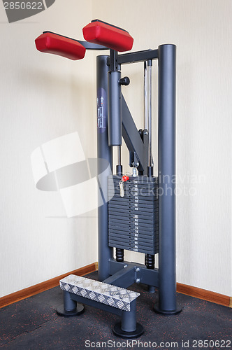 Image of standing calf raises gym workout machine