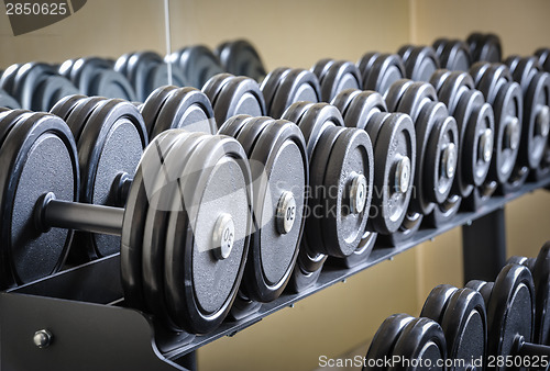 Image of Row of barbells