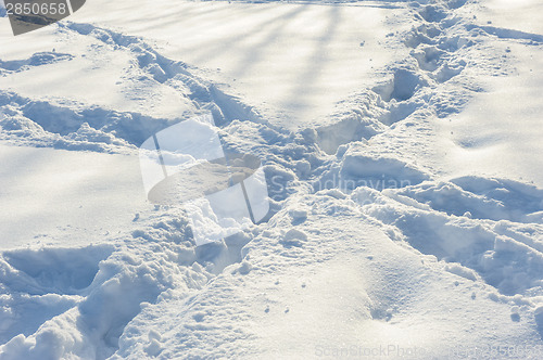 Image of crossed tracks on the snow