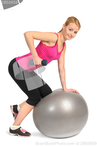 Image of One-Arm Dumbbell Row on Stability Fitness Ball Exercise