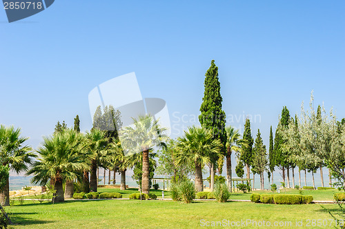 Image of Pamukkale resort, Turkey