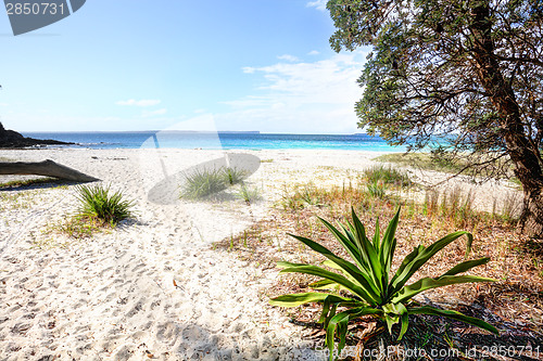 Image of Greenfields Beach Australia