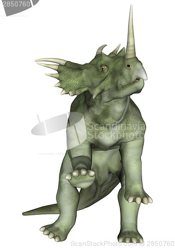 Image of Dinosaur Styracosaurus