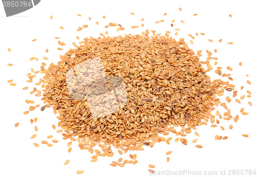 Image of Golden linseed