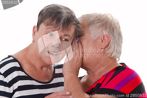 Image of The latest gossip