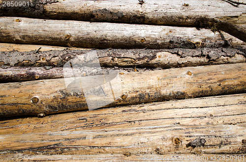 Image of Background of logs for firewood