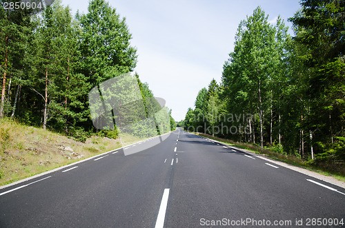 Image of New asphalt and lines at a straight road in the forest