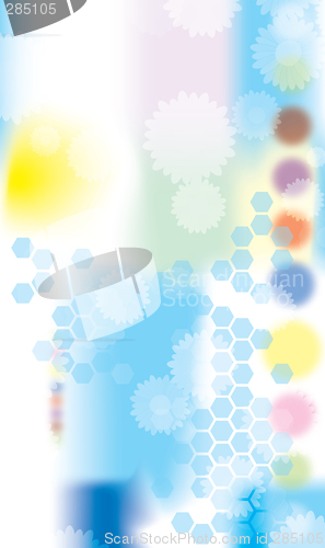 Image of white floral