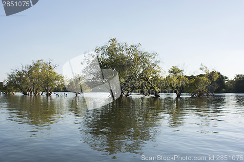 Image of Zambezi river 