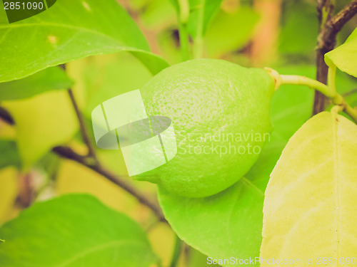 Image of Retro look Lemon picture