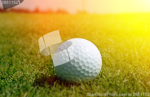 Image of Golfball in grass