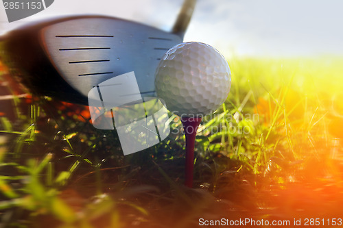 Image of Golf club and ball in grass